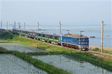 733系3000番台と、青が多い日