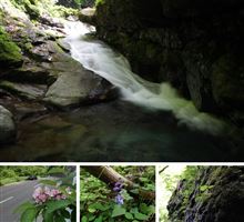 涼しげな散策 涼しげな散策