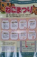 ねこまつり