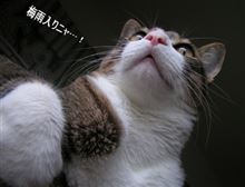 まさかのタイミングで！？