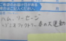 届きました～