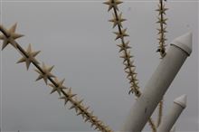いよいよ明日は美保基地航空祭