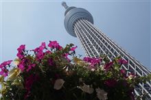 浅草・スカイツリータウンへ