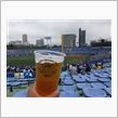 野球観戦（東京ヤクルトVS埼玉西武）