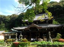 紫陽花　そして都路里の抹茶パフェ　嵯峨散策と京都を満喫o(^▽^)o