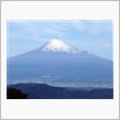 お茶の香りと富士山と♪