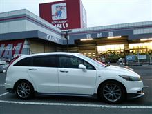 ツバメは出迎えでもハス蕾