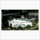 道路へ倒木したＮＥＷＳの下敷 ...