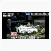 大木倒れ、その先には…