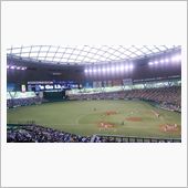 野球観戦（埼玉西武VS阪神）