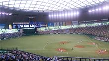 野球観戦（埼玉西武VS阪神）