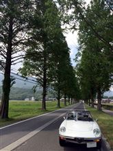 今日も所用で湖北方面へ