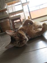 上●キか下●キか
