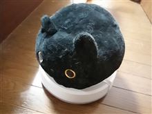 新しいマシーンが納車されました(///ω///)♪