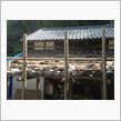 そろそろ、やらねば・・・・・