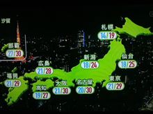今夜もネコは寝ようと…