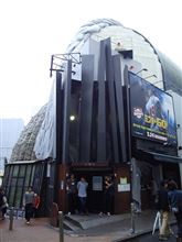 「Dorothy Little Happy 定期Live 2014 at TOKYO 昼公演&夜公演」 at 渋谷WWW 「Dorothy Little Happy 定期Live 2014 at TOKYO 昼公演&夜公演」 at 渋谷WWW