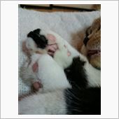 あっさり(*^▽^*)