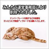 よし、車ネタを書こう！！
