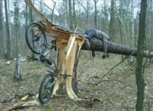 昔の日本車はカコいいな♪