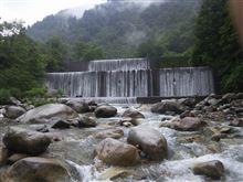 梅雨らしいしとしと雨