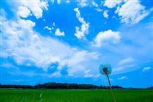 チャリでブ～ラブラ♪