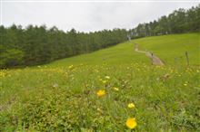 お山に散歩・・・
