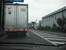 野性
