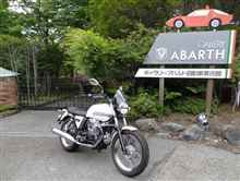 カレーにつられて・・・ カレーにつられて・・・