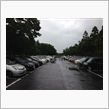 雨に滴る交流会！