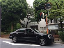 トヨタプログレ 〜進歩という名の挑戦〜 トヨタプログレ 〜進歩という名の挑戦〜