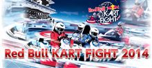 Red Bull Kart Fight 2014一次予選・・・♪