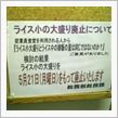 実は優柔不断なんですよ