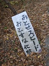 なんだかなぁ…