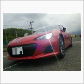 新しい相棒(*^ー^)ノ♪