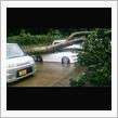 恐怖の台風