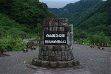 今年も始めました♪ 今年も始めました♪