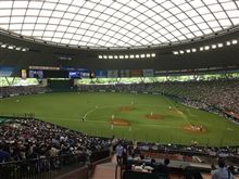 野球観戦（埼玉西武VSオリックス）