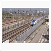 リーズナブルなオムライス