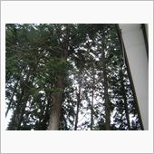 おじいさんは山へ草刈に(笑)