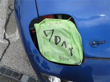 静岡7DAY