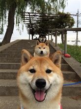 近場でまったりインプオフ
