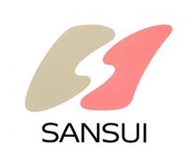 「オーディオ御三家」山水電気が破産　負債3.5億円