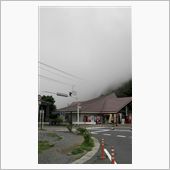 今日は