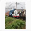 リアル トーマス☺︎