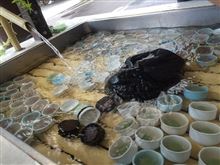 水の都 大垣の夏のヒンヤリスウィーツ！