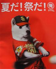 鷹の祭典2014