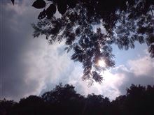 夏休みの予行練習