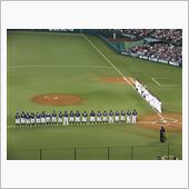 野球観戦（埼玉西武VS千葉ロ ...