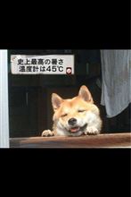 猛暑オフ(；&#180;Д`A